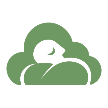 Oreillers sans plumes hypoallergénique