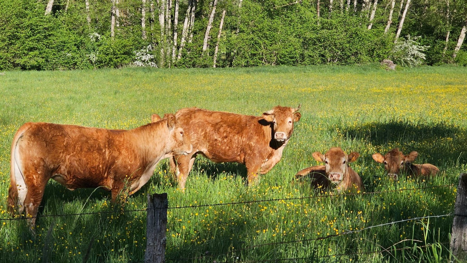 proche-langres-gite-groupe | La Valdonnière