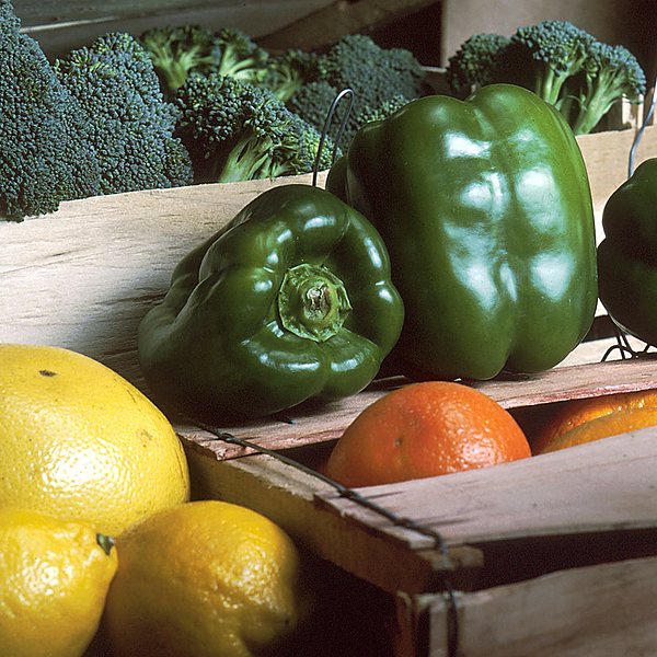 2008-produits-locaux-restaurant-locavore-haute-marne | La Valdonnière