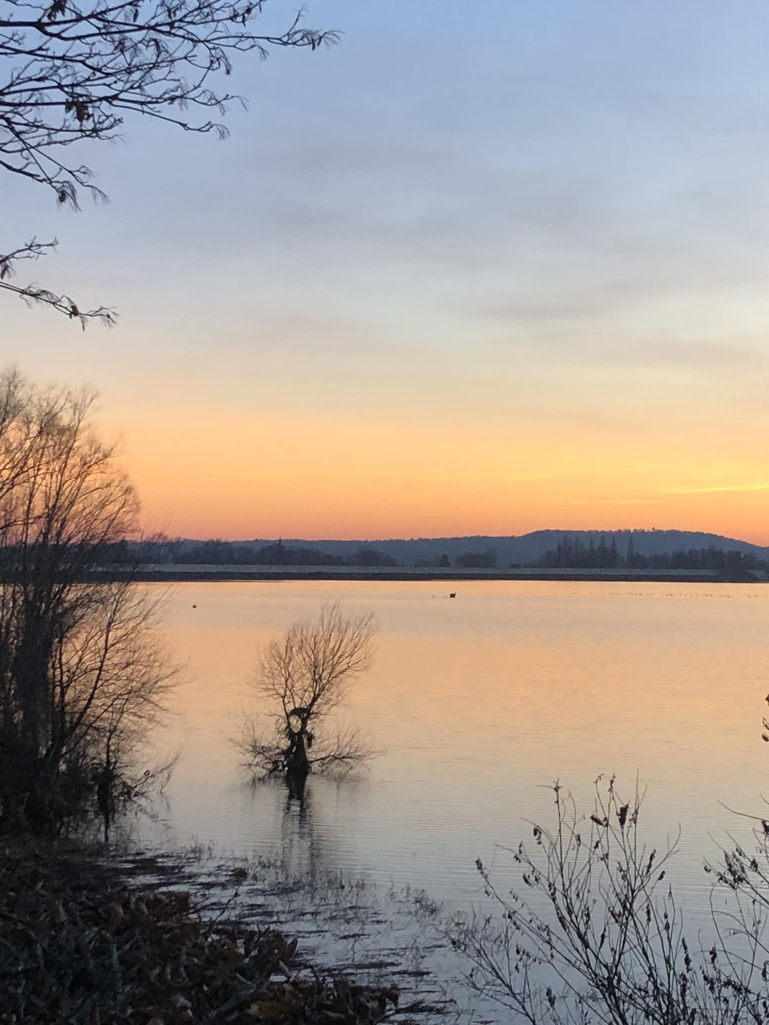 lac-de-la-vingeanne-carpe-1 | | La Valdonnière